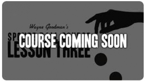 Wayne Goodman – Sponge Ball Course Lesson one