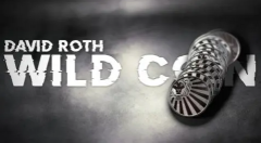 David Roth - Wild Coin