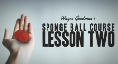 Wayne Goodman - Sponge Ball Course Lesson 2