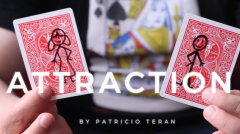 Attraction by Patricio Teran