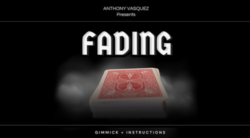 Fading by Anthony Vasquez