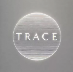 The Daily Magician – Trace