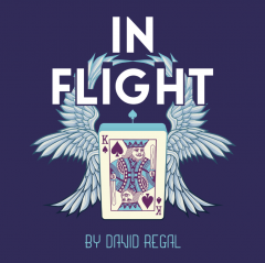 In Flight by David Regal