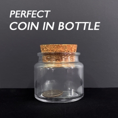 Perfect Coin in Bottle