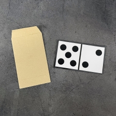 Domino Prediction