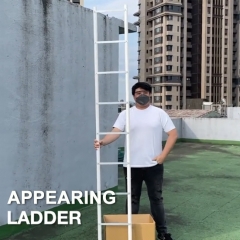 Appearing Ladder (2.5M)