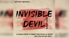 Invisible Devil by Lee Alex