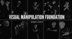 Visual Manipulation Foundation by Eden Choi
