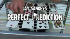 Jay Sankey - Perfect Prediction
