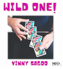 Vinny Sagoo - WILD ONE