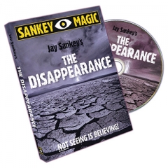 The Disappearance by Jay Sankey