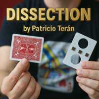 DISECCTION by Patricio Teran