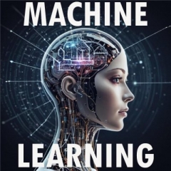 Machine Learning by Vincent Gagnieux