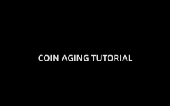 TCC - Artisan Coin Aging