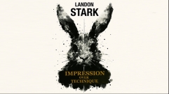 Impression Over Technique by Landon Stark