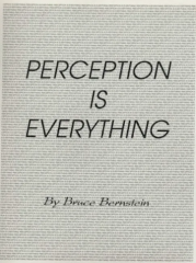 Perception is Everything by Bruce Bernstein