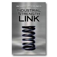 Industrial Strength Link by Richard Osterlind