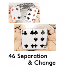 46 Separation & Change