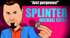 Splinter by Michael Eaton