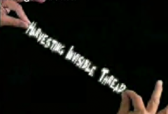 Magic Lovers - Harvesting Invisible Thread