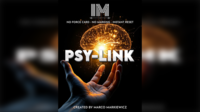 PSY-LINK by Marco Markiewicz