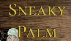 Danny Goldsmith - Sneaky Palm