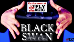 Black Swan by SUN x MJ