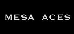Ed ellis - Mesa aces