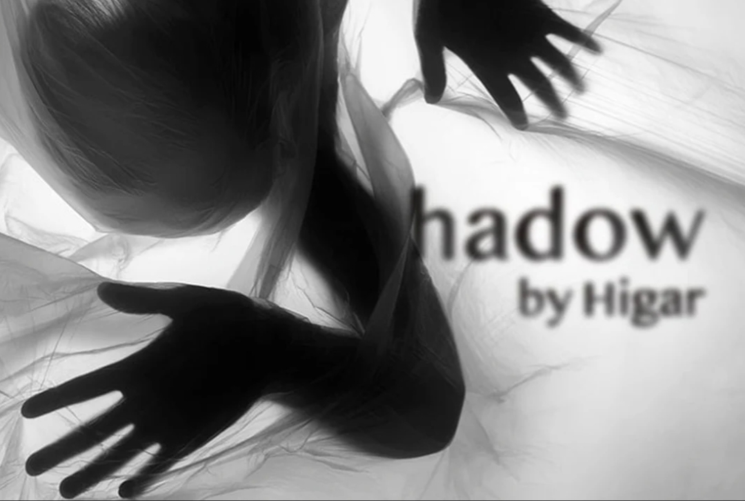 Shadow by Higar