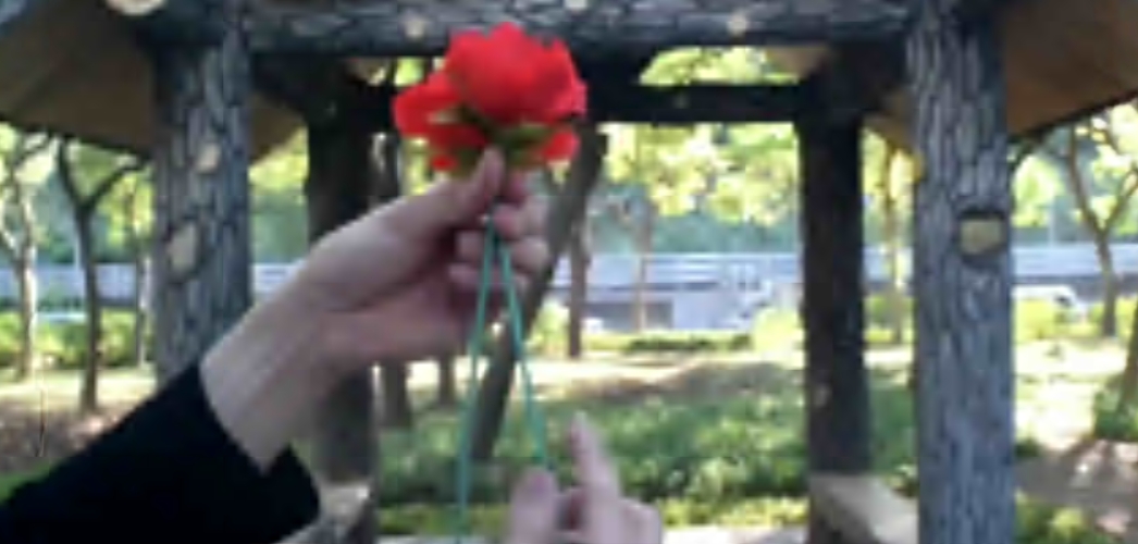 Flash Flower Instructions