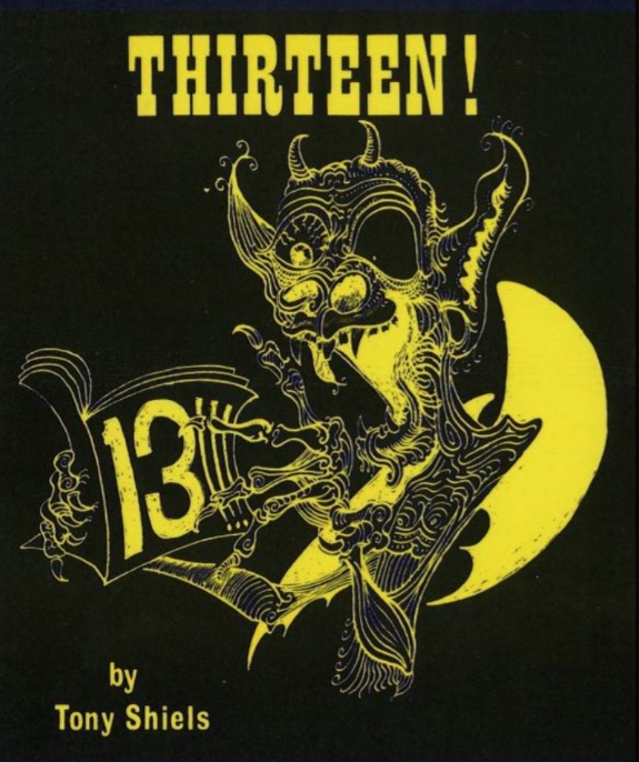 Thirteen by Tony Shiels