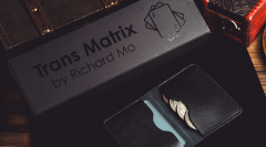 Transparent Matrix by Richard Mo