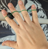 Spring Ring by Josh Burch