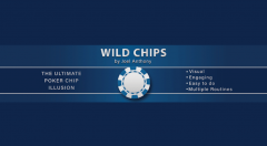 Wild Chips by Joel Anthony