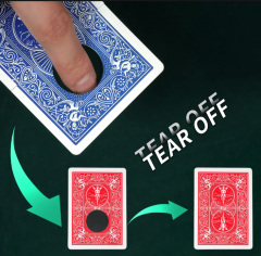 Color-changing black hole by WZ