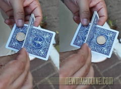 Coin Flash by Andrew