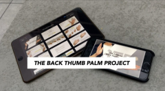 Back Thumb Palm Project By Micky Wong (Videos and pdf)