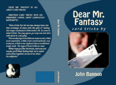 Dear Mr. Fantasy Final by John Bannon