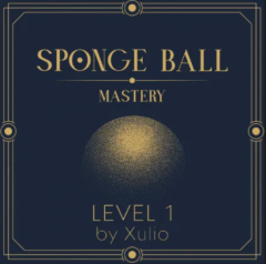 Sponge Ball Mastery Level 1 by Xulio Merino