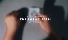 Loewy palm - Ben Earl