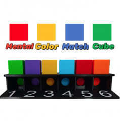 Mental Color Match Cube (Chinese+Sub.Eng)