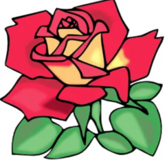 ROSES FOR HER By NubzMagic