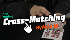 Cross-Matching By Miku W