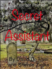 Secret Assistant- The Nail Writer Resource For Novices And Pros by David Thiel