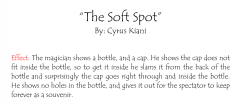 The soft spot by cyrus kiani