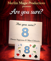 Are You Sure by Damien Vappereau and Marc Celiandre