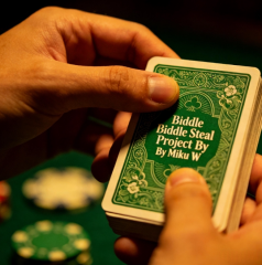 Biddle Steal Project By Miku W