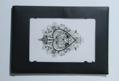 Scattered to Straight by WZ