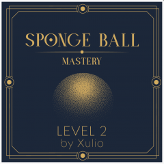 Sponge Ball Mastery Level 2 by Xulio Merino