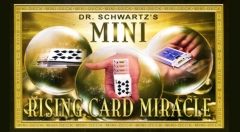 Mini Card Rise Miracle by Martin Schwartz